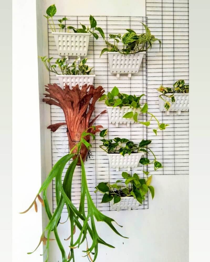 Bohemian garden decor ideas