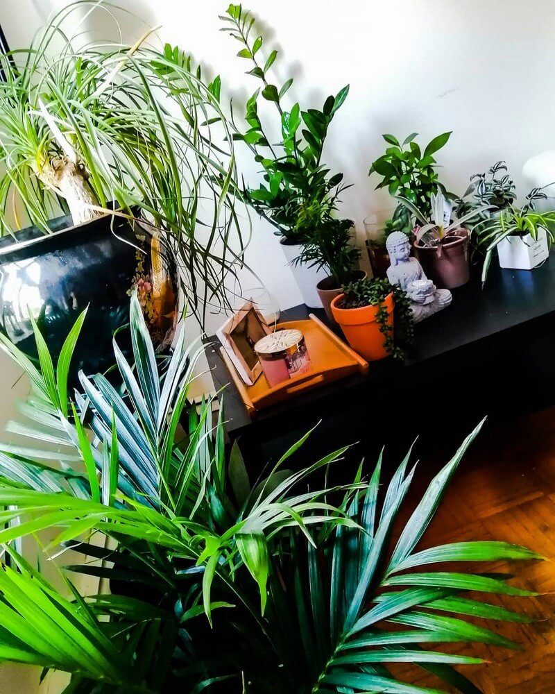 Bohemian garden decor ideas