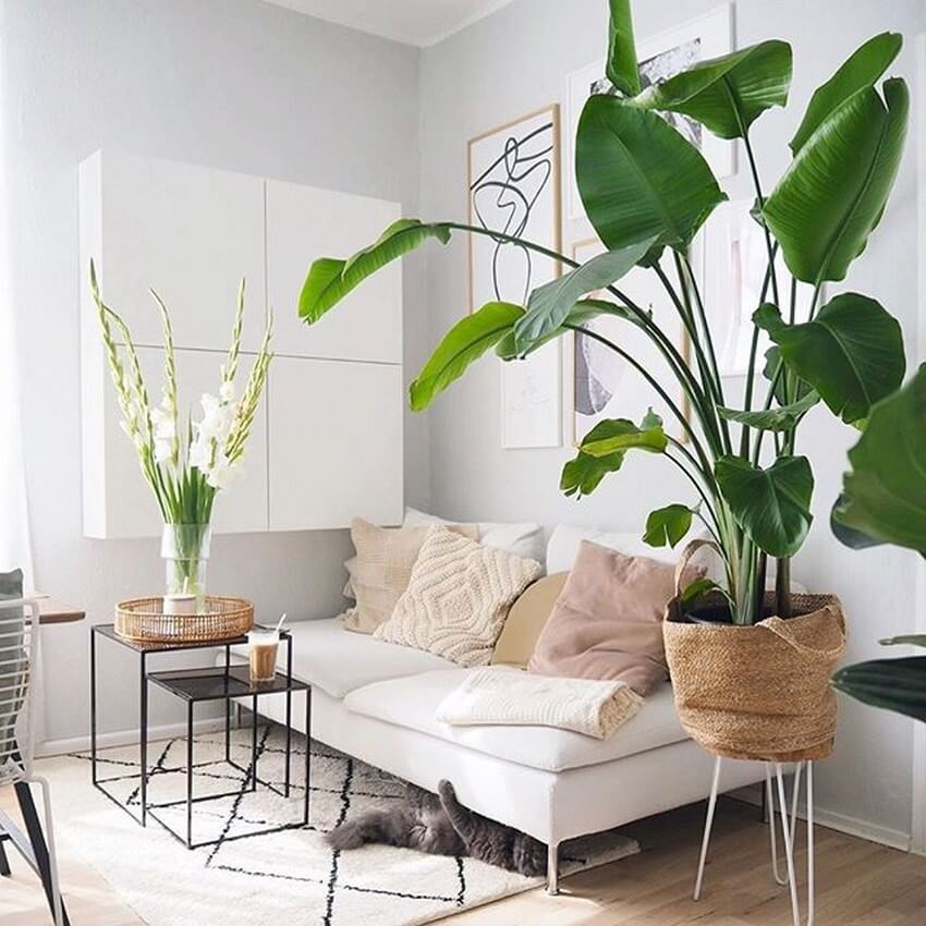 Interior boho chic decor bedroom ideas