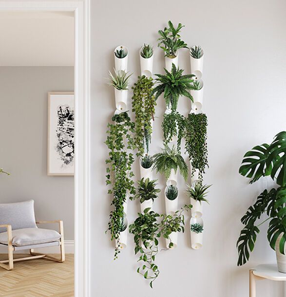 garden idea
