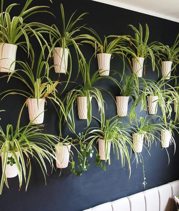 garden idea