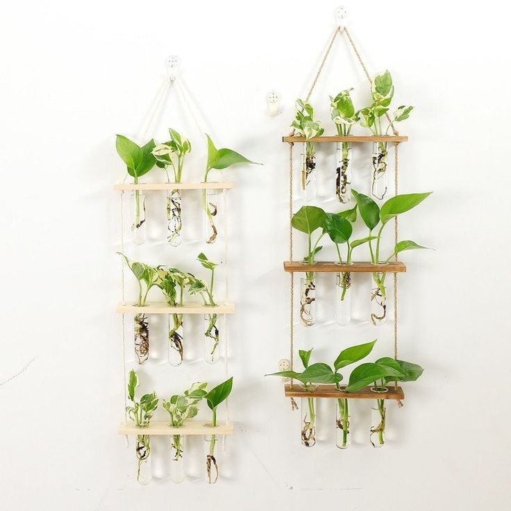 garden idea